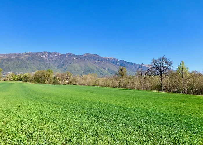 Oda ve Kahvaltı Flyingaway